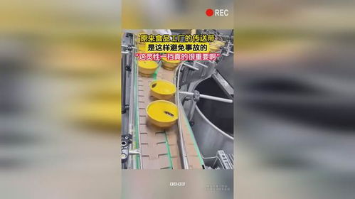 原来食品工厂的传送带,是这样避免事故的