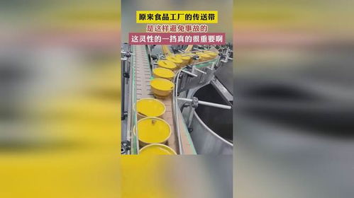 原来食品工厂的传送带是这样避免事故的这灵性的一挡真的很重要啊