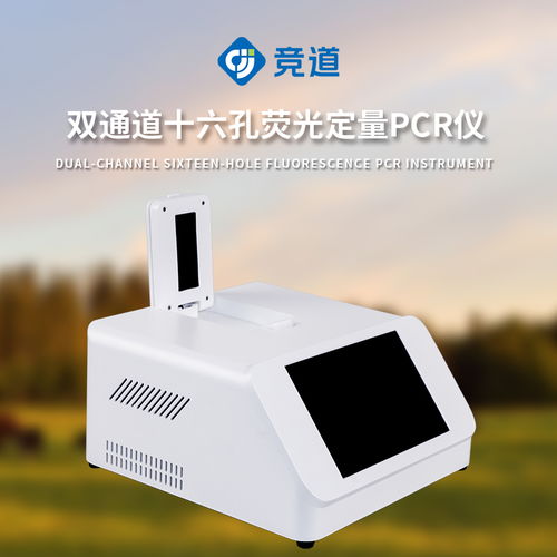 应对非洲猪瘟威胁 非洲猪瘟检测仪器生产厂家的重要性与作用