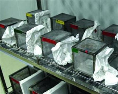 广州黄埔一所工厂,每天放出500万只蚊子 居民拍手叫好