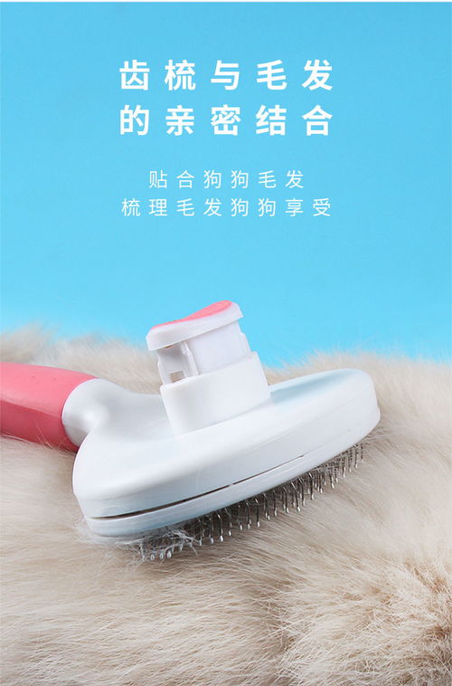 猫咪狗狗宠物除毛梳子梳毛用品撸猫泰迪掉毛清理器去浮毛狗梳毛刷