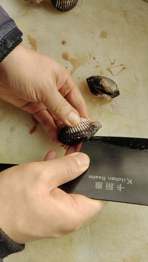 物品随拍 手 工具